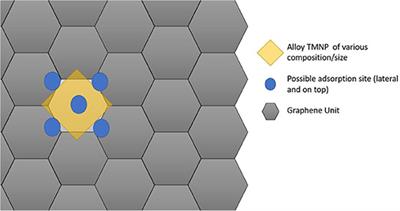 Size, Composition, and Support-Doping Effects on Oxygen Reduction Activity of Platinum-Alloy and on Non-platinum Metal-Decorated-Graphene Nanocatalysts